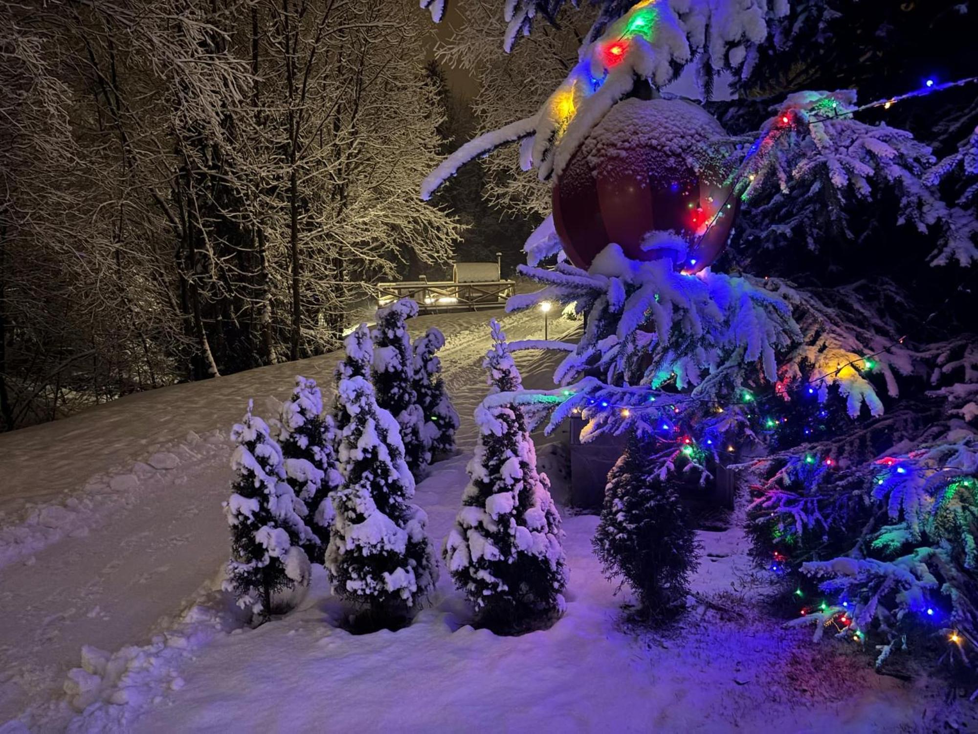 U Parów Apartamento Bialka Tatrzanska Exterior foto